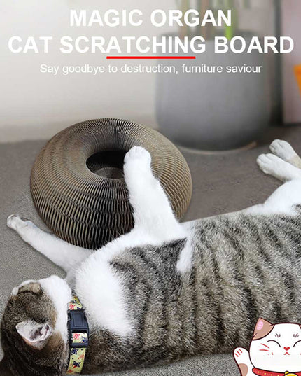 Libiyi Magic Organ Cat Scratch Board. - Libiyi
