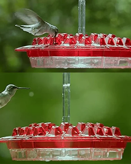 Shirem Sweety Hummingbird Feeder - Libiyi