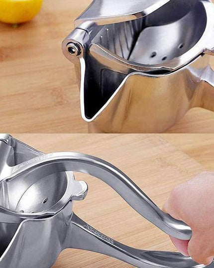 Stainless Steel Juicer - Libiyi