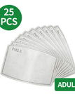 Filtros PM2.5 extras (25 PCS)